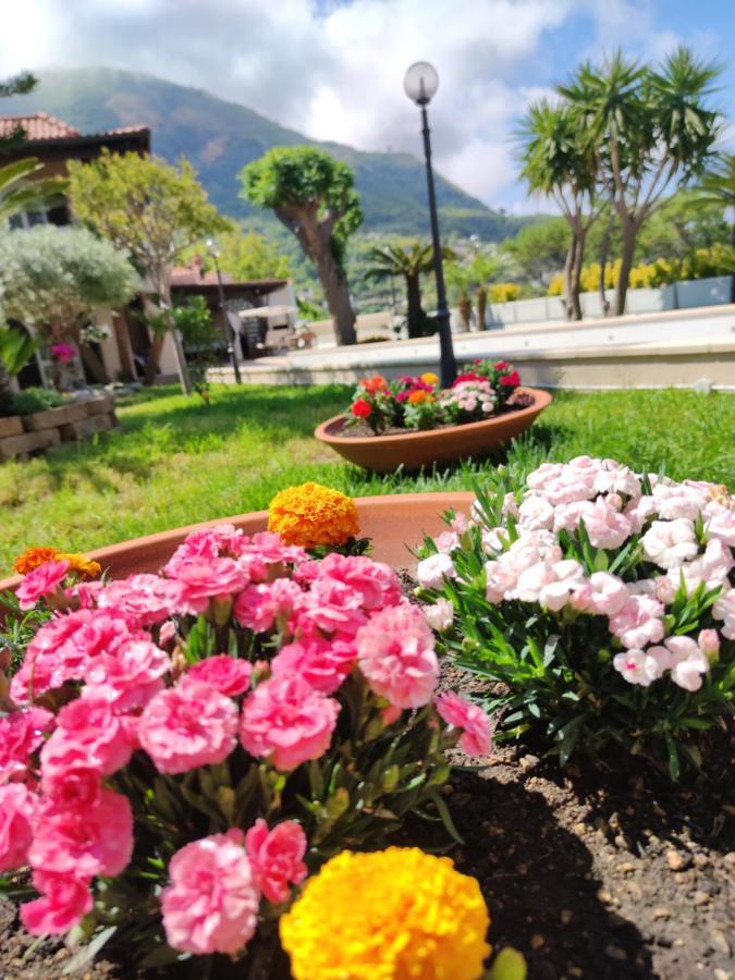 Villa Antonietta Ischia Exterior photo