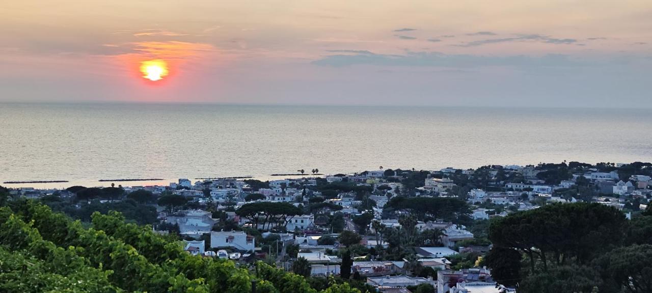 Villa Antonietta Ischia Exterior photo